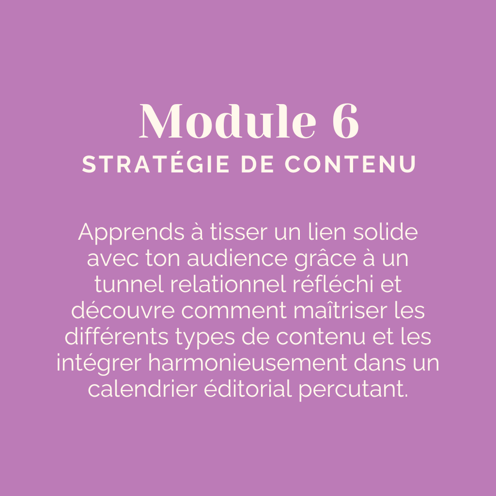 MODULE 6 ICONIC STRATEGY